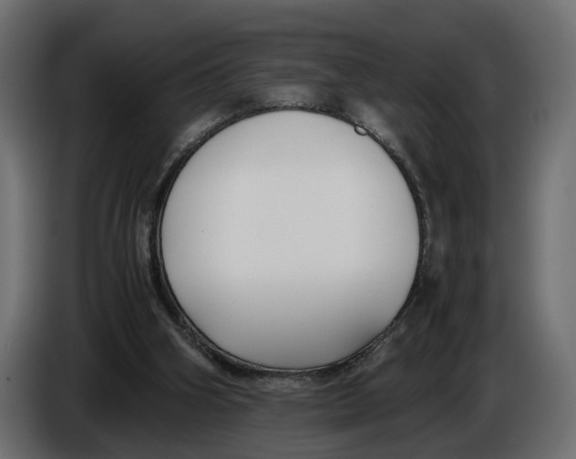 X0000086010106200704131836