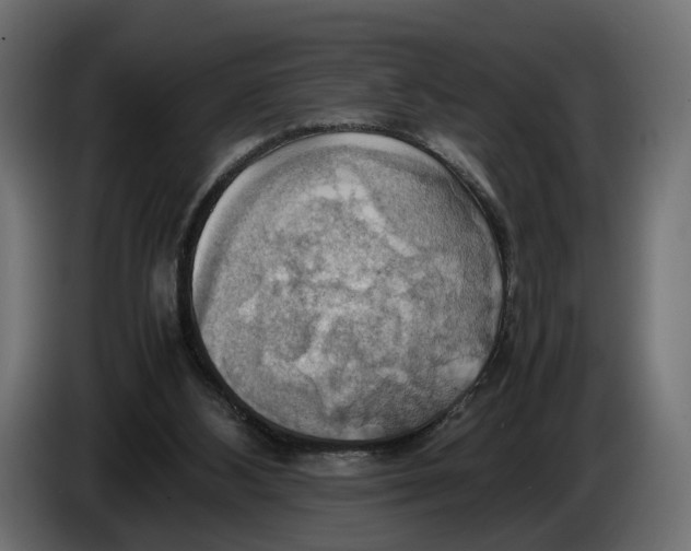 X0000086010108200704131836