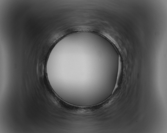 X0000086010109200704131836