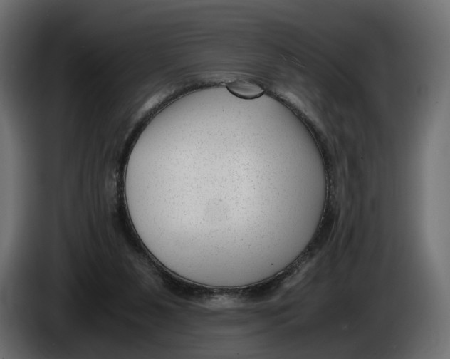 X0000086010111200704131836