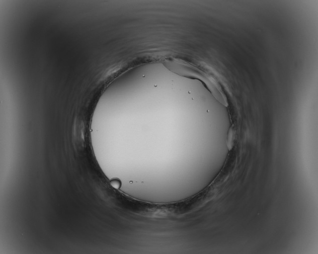 X0000086010115200704131836