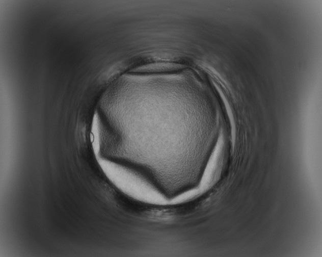 X0000086010117200704131836