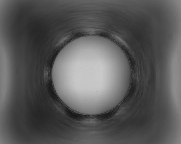 X0000086010119200704131836