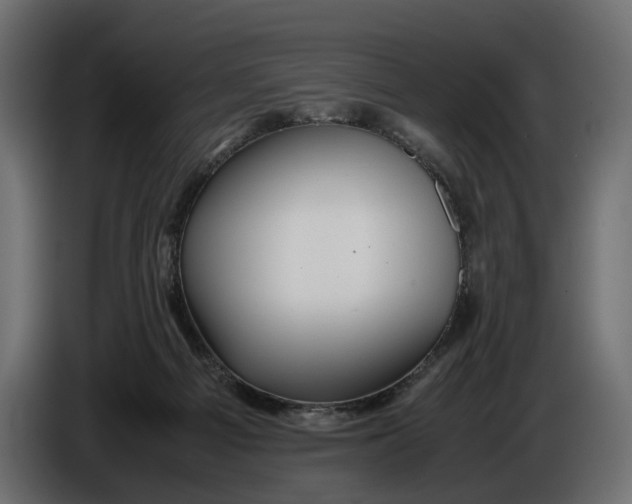 X0000086010121200704131836