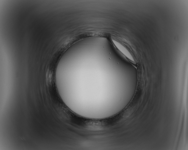X0000086010123200704131836