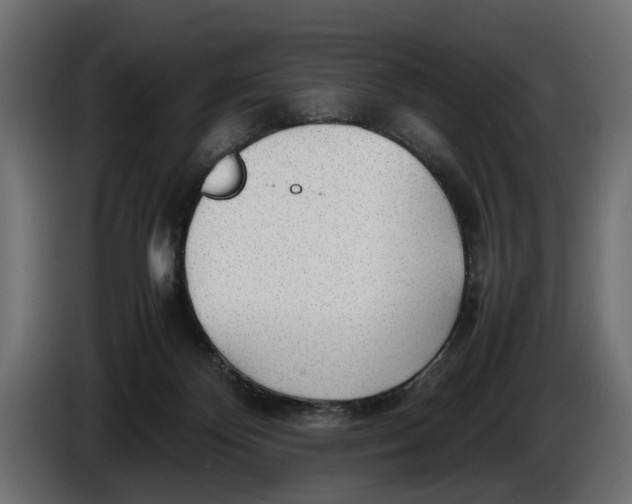 X0000086010124200704131836