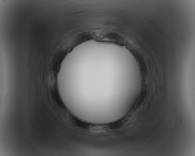 X0000086010129200704131836