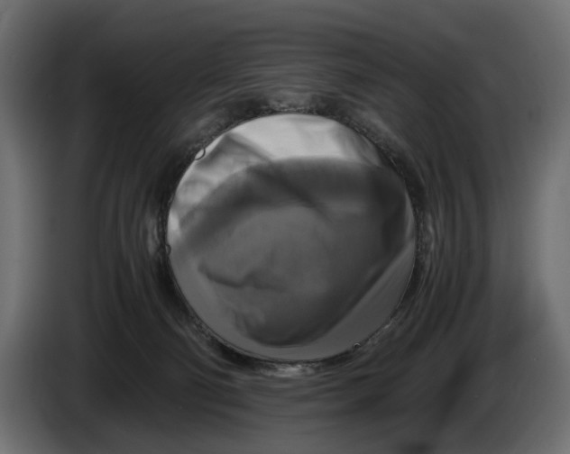 X0000086010130200704131836