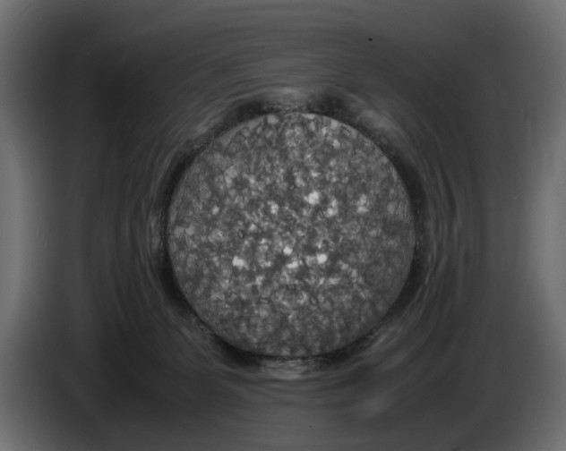X0000086010131200704131836
