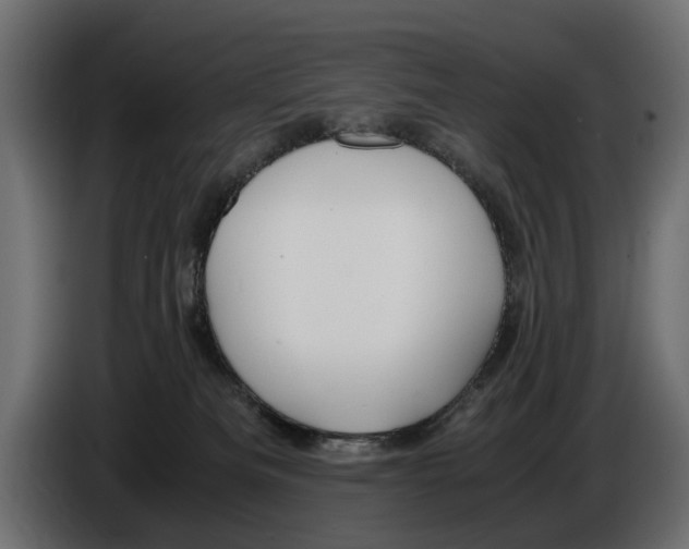 X0000086010133200704131836