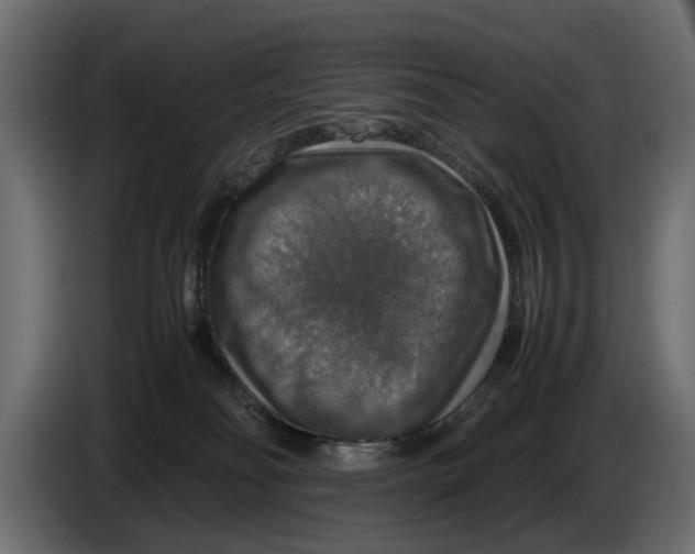 X0000086010134200704131836