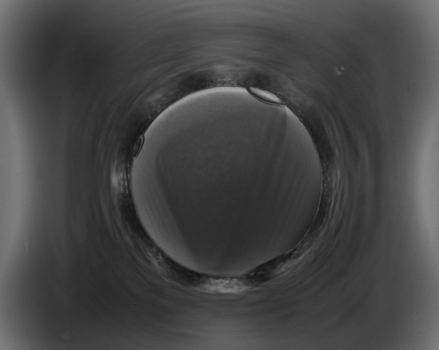 X0000086010137200704131836