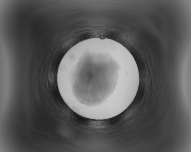 X0000086010139200704131836