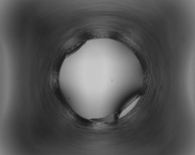 X0000086010141200704131836