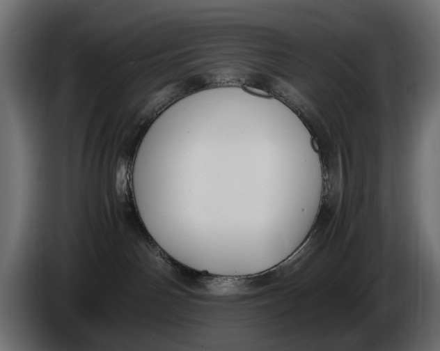 X0000086010142200704131836