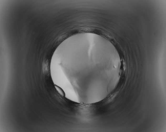 X0000086010143200704131836