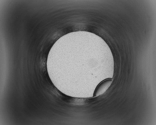 X0000086010144200704131836