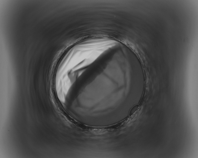 X0000086010145200704131835