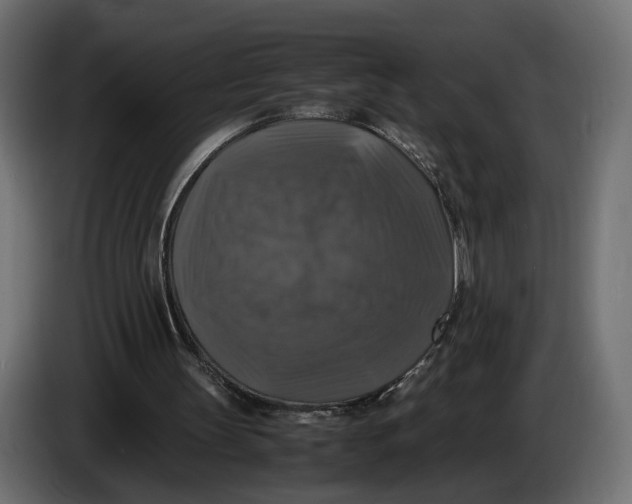 X0000086010147200704131835