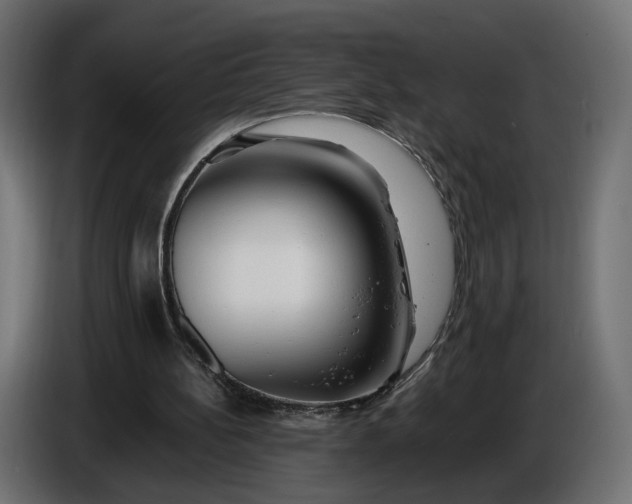 X0000086010148200704131835