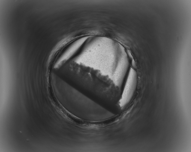 X0000086010149200704131835