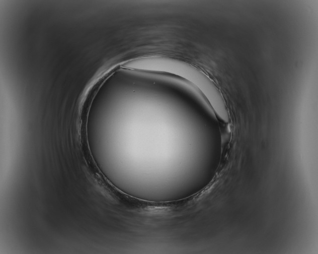 X0000086010150200704131835