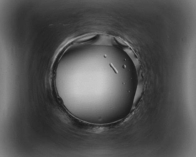 X0000086010152200704131835