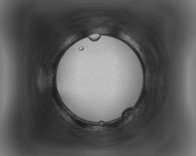 X0000086010153200704131835