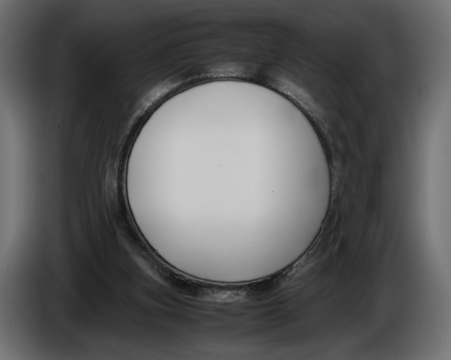 X0000086010155200704131835