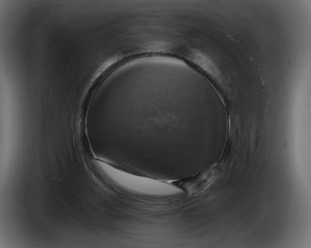 X0000086010156200704131835