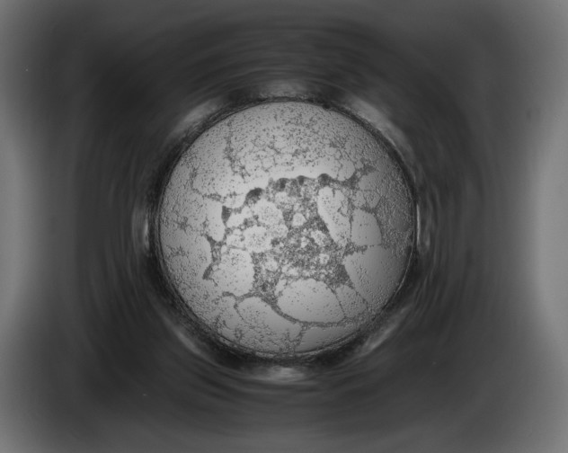 X0000086010157200704131835