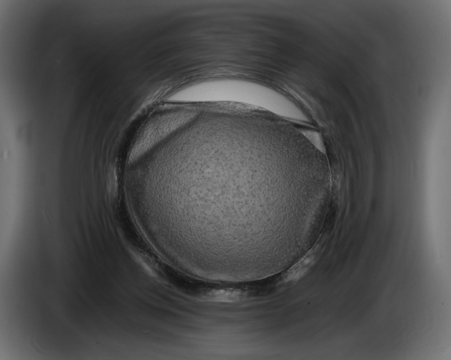 X0000086010158200704131835