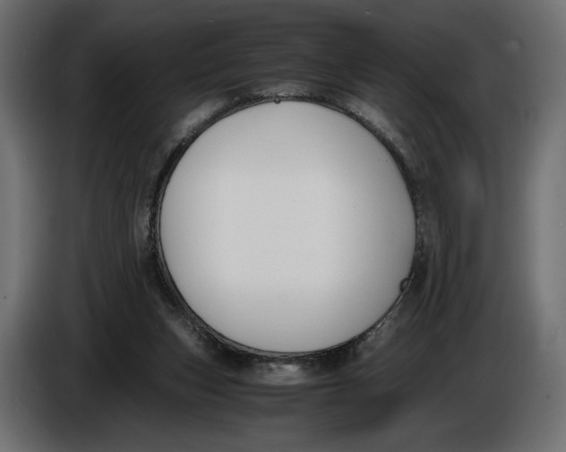 X0000086010159200704131835