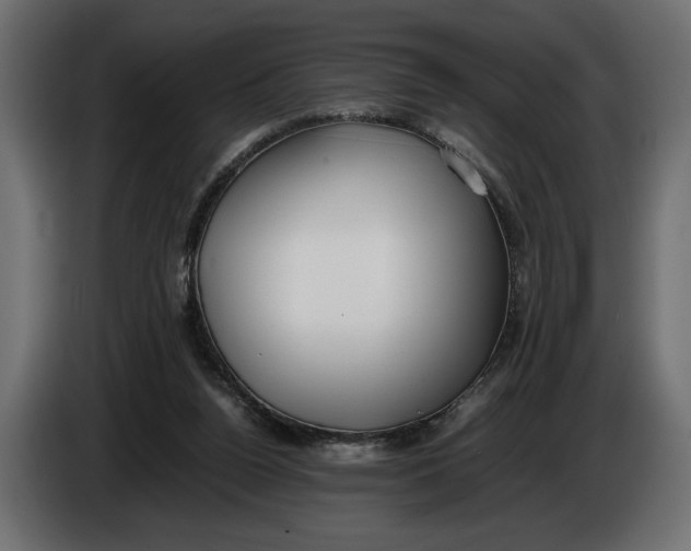 X0000086010160200704131835