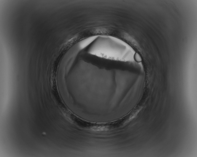 X0000086010161200704131835