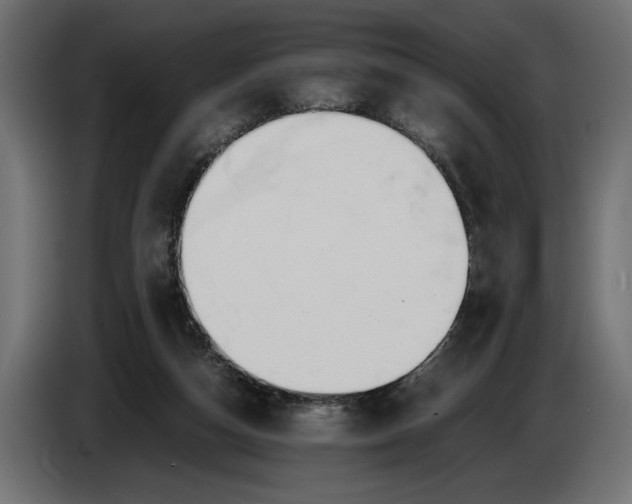 X0000086010162200704131835