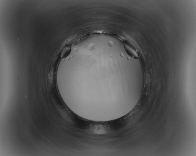 X0000086010163200704131835