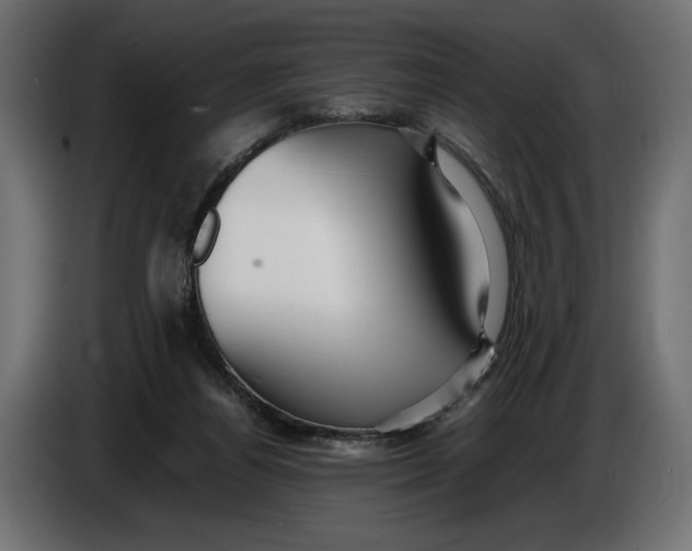 X0000086010164200704131835