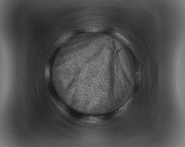 X0000086010166200704131835