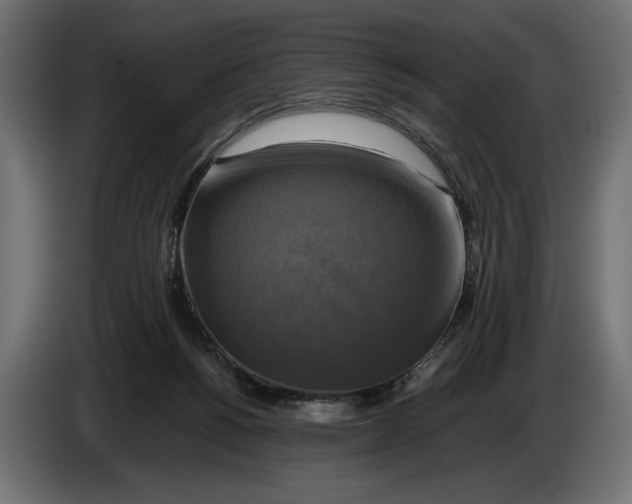 X0000086010168200704131835