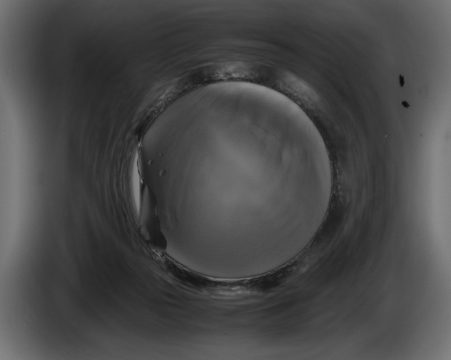 X0000086010169200704131835