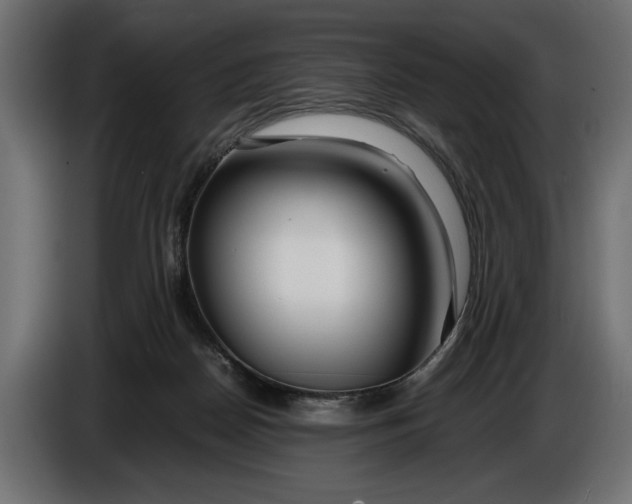 X0000086010170200704131835