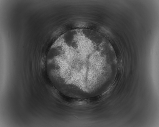 X0000086010175200704131836