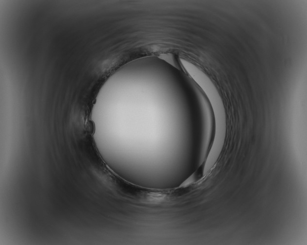 X0000086010176200704131836