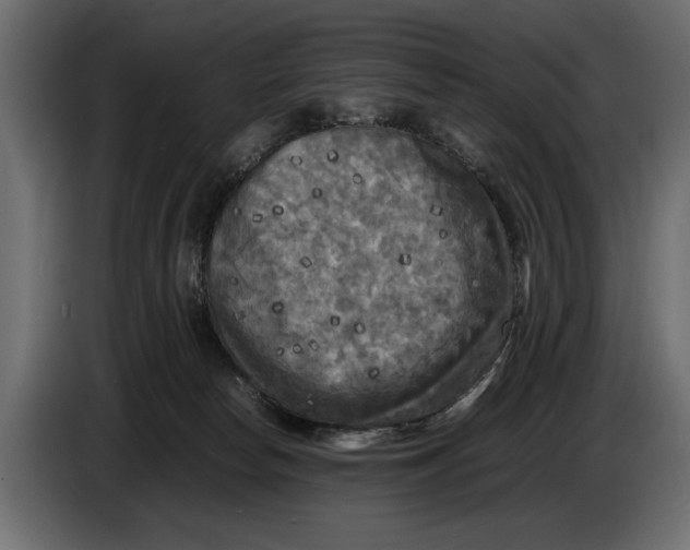 X0000086010178200704131836