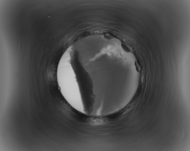X0000086010181200704131836