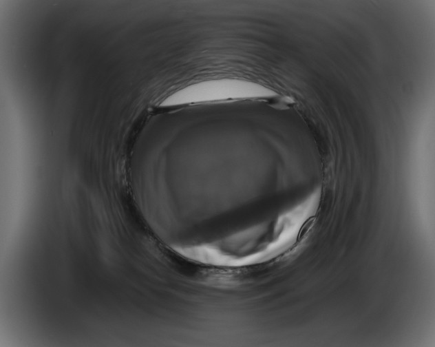 X0000086010182200704131836