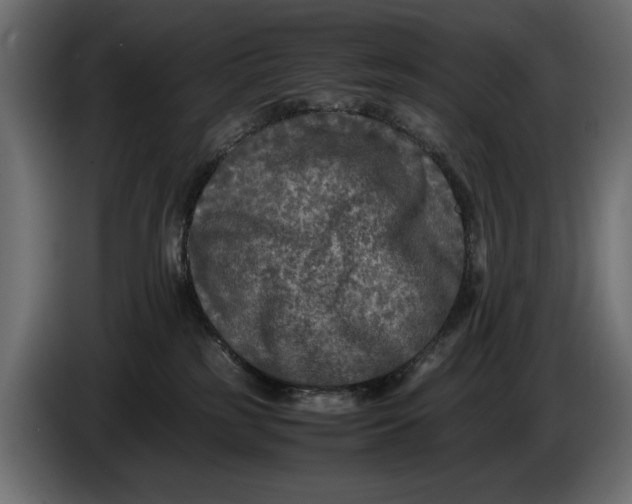 X0000086010185200704131836