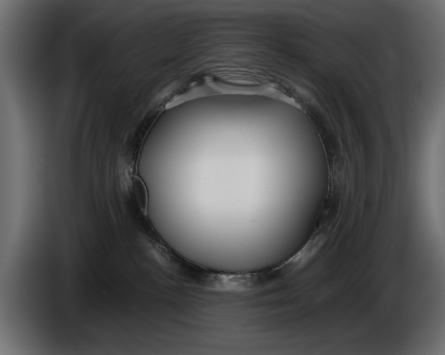 X0000086010188200704131836
