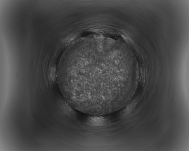 X0000086010189200704131836